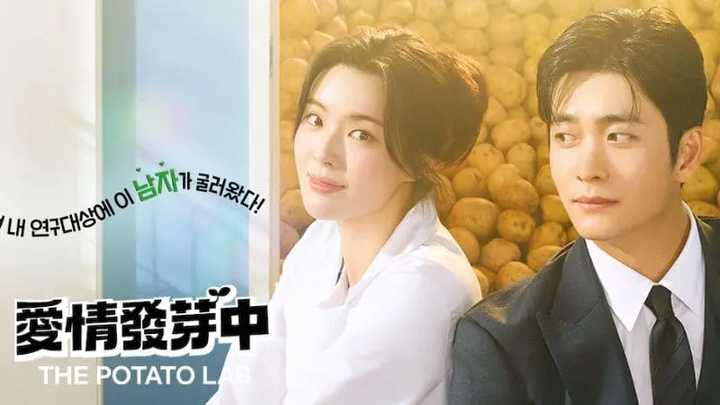 韓劇-愛情發芽中-劇情分析、12集分集劇情-在馬鈴薯研究所萌芽的針鋒相對愛情故事