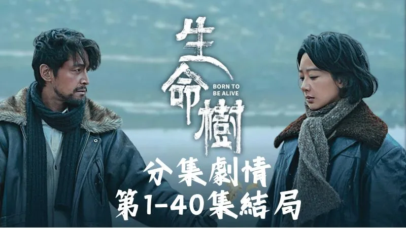 《生命樹》分集劇情-第1-40集結局最終回，盜獵與盜採的壞消息被風吹得到處都是，害得縣政府頭痛到睡不著