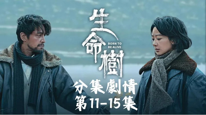 《生命樹》分集劇情-第11-15集,賀清源和盜獵者扭打成一團,手臂被子彈劃出一道血痕,疼得他倒吸一口冷氣