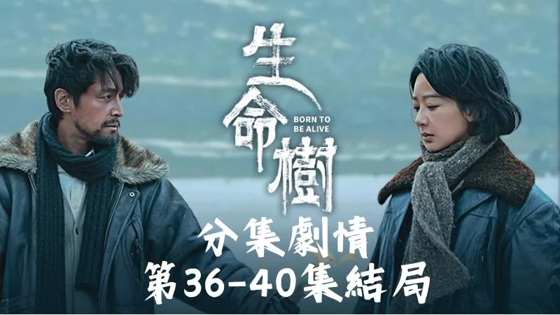 《生命樹》分集劇情-第36-40集結局，白椿像被火點著似的衝進房，一腳把孟耀輝踹飛