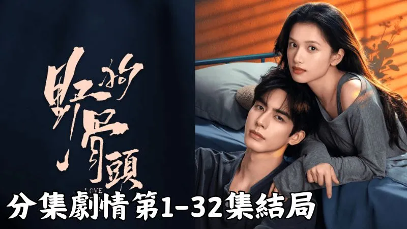 《野狗骨頭》分集劇情-第1-32集結局，2011年的傍晚長途車慢慢停進車站，車窗裡的苗靖神情冷冷的，像在想很遠的事
