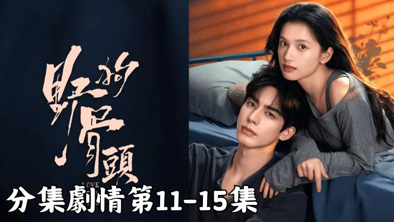 《野狗骨頭》分集劇情-第11-15集，陳異不想讓撞球廳的利潤被人分走，只好硬著頭皮跟街頭那群人周旋